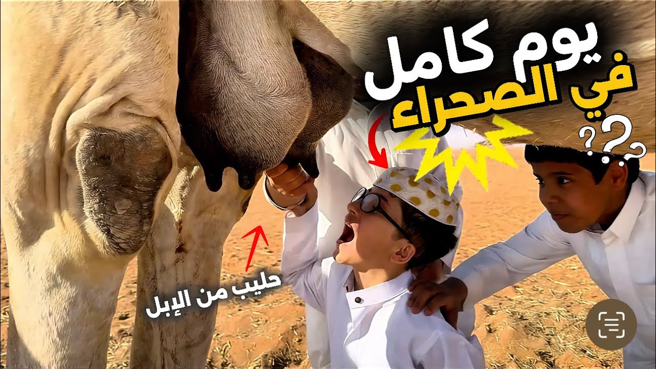 من الرياض إلى رماح  عند الإبل 🐪￼