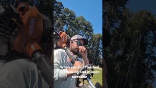 Nothing Like An 2620.