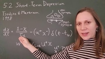 Computational Modeling of Neuronal Plasticity: 5.2