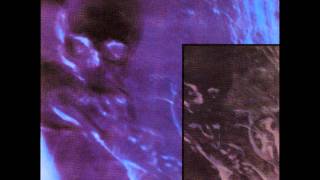 Video thumbnail of "Skinny Puppy - The Choke"