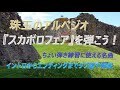 【アコギ入門編】『スカボロ フェア』Scarborough Fair のアルペジオ奏法をタブ譜で詳しく解説【初心者・中高年・シニア向けギター講座】