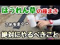 【ほうれん草の種まき】絶対にやるべきたったひとつのこと