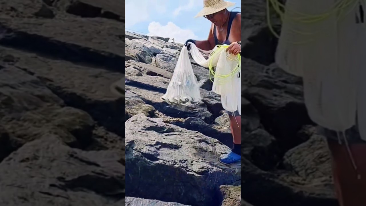 투망초보 여기서 일냈네 ! #shorts