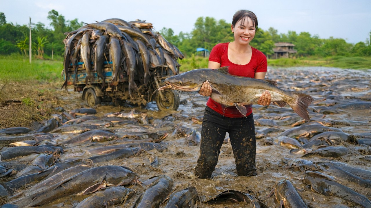 Massive Catfish Harvest! We Filled a Truck with Fresh River Fish 😱