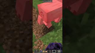 PARCHED SKELETON VS RESPAWN ANCHOR IN MINECRAFT 🤯😱💀#bkdgamerz #shortsfeed #shorts