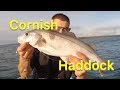 Haddock Fishing - Sea Fishing Tips For Beginners