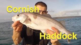 Haddock Fishing  Sea Fishing UK  Tips For Beginners | The Fish Locker