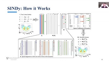 A Discussion on SINDy