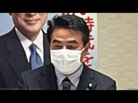 自民党 中国・彭帥問題で日本政府に厳しい対応を要求