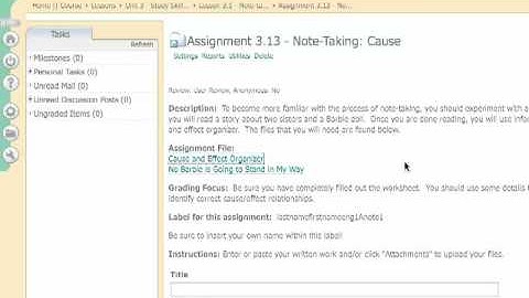 Opening Files in Open Office or Word