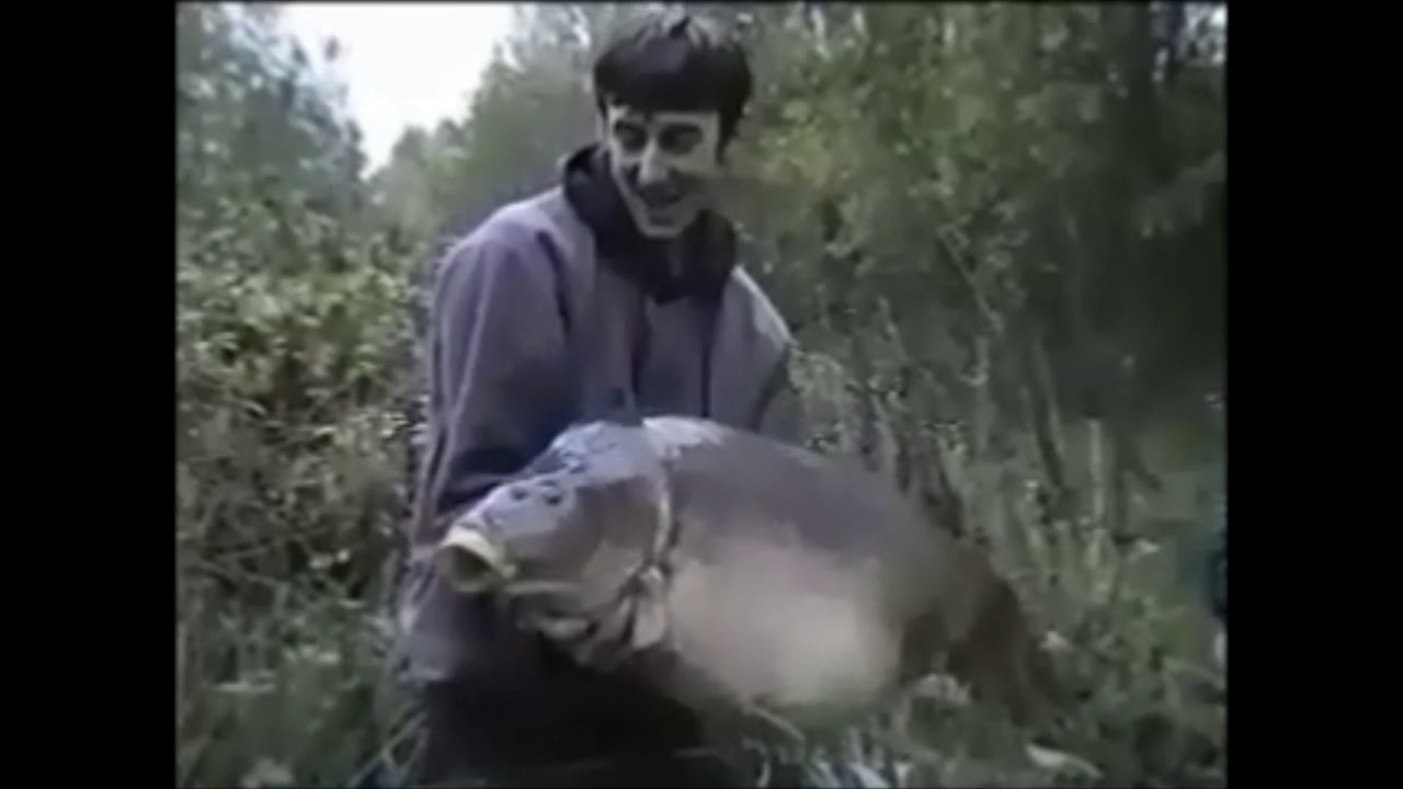 Steve Fudge - Yateley Complex – Bazil, Arfur & Heather.