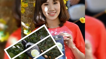 dầu gội thảo dược dân gian món quà mà thiên nhiên ban tặng cho mỗi gia đinh