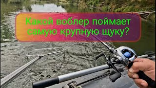 картинка: Ловля на воблеры в сентябре. Какой воблер поймает самую крупную ЩУКУ?