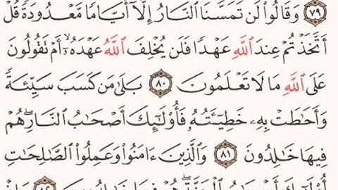 القرآن الكريم - ماهر المعيقلي - سورة البقرة - صفحة 12