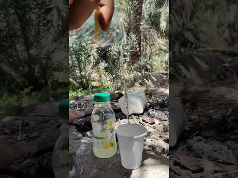 Rum Sange Soda #shorts#ytshort#trandingshorts#arhomevloge