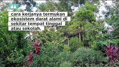 Tugas praktikum IPA di SD UT Modul 2 praktikum 1 Ekosistem Darat