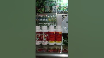 combo tái tạo bộ rễ cây hồ tiêu tuyến trùng rệp sáp #taynguyen #shots #nôngdan #nôngnghiệphay