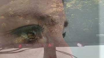 Blind Spot: An Interactive Gaze-aware Experience
