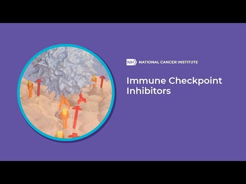 Video: Antibiotikatherapie Und Ergebnis Von Immun-Checkpoint-Inhibitoren