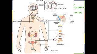 Biology2E Ch9 MChen Lecture Video Part1