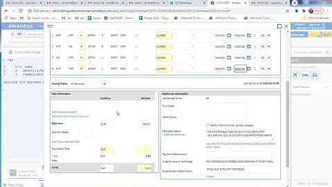 Manual Involuntary reissue On Amadeus
