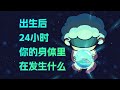 【李白尼】「113」出生後24小時，你的身體裡會發生什麼事？ thumbnail