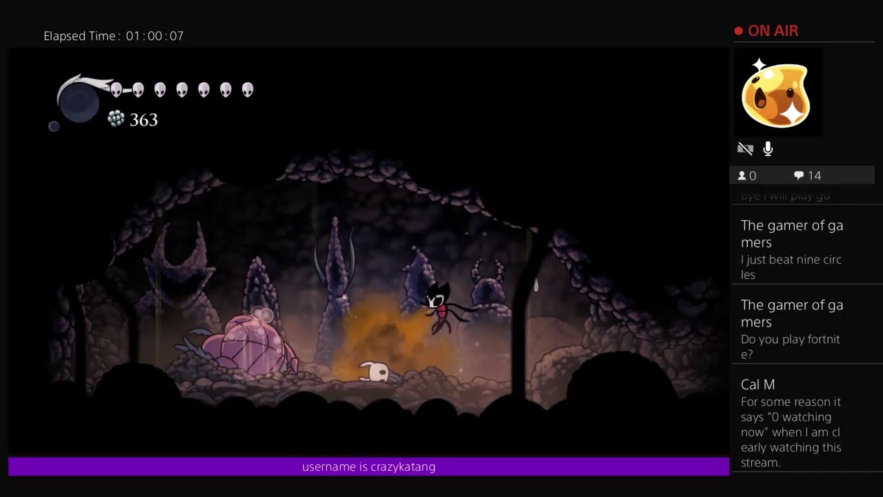 Hollow Knight Essence