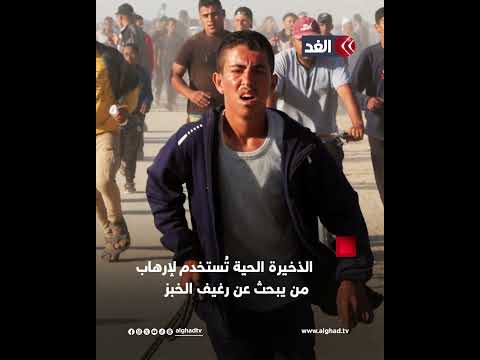 نيران عشوائية وتجسس شهادات أميركية تفضح فظائع مؤسسة غزة الإنسانية 