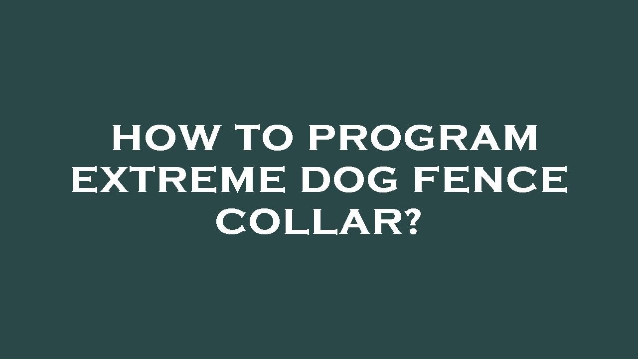 How to program extreme dog fence collar? YouTube