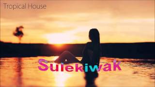 Triad Sounds Tropical House