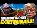 É OFICIAL: Hollywood ENTERRA a AGENDA WOKE de Vez!