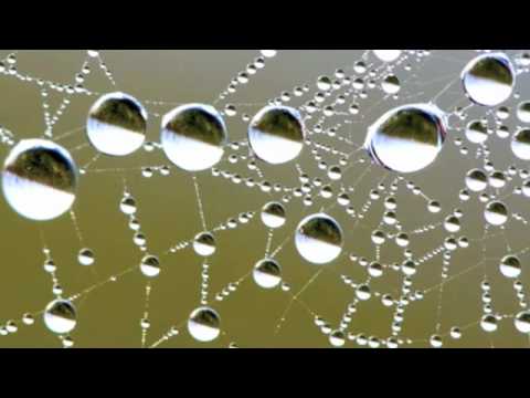youtube-video-thumbnail