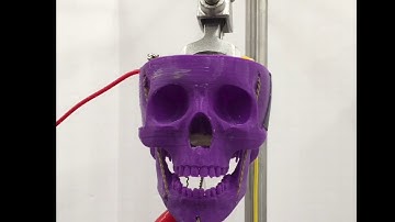 3D Printed Humanoid Jaw Actuated by TCP muscles