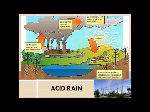वीडियो: कनाडा में मुख्य पर्यावरणीय मुद्दे क्या हैं?
