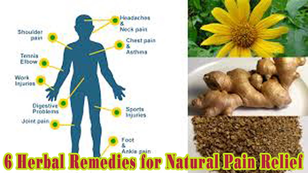 6 Herbal Remedies for Natural Pain Relief Natural Health Cures YouTube
