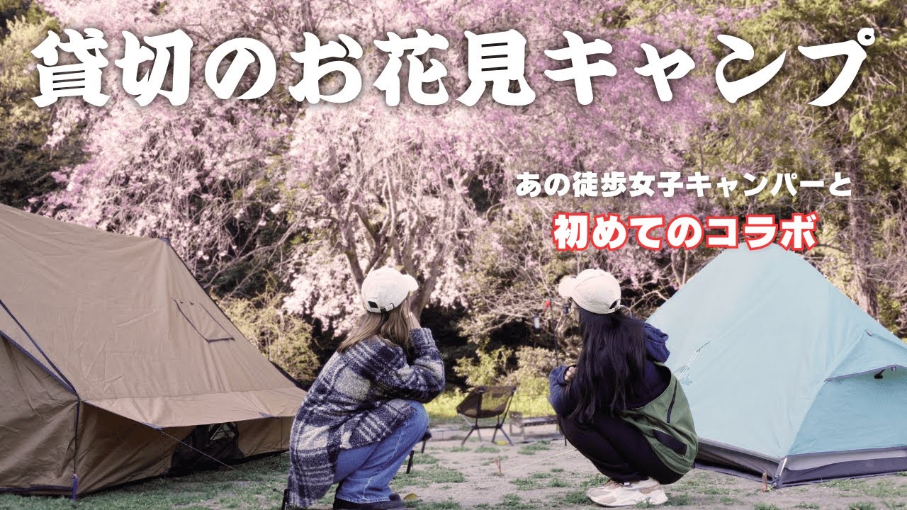 【初コラボ】貸切キャンプ場で二人きりのお花見🌸あの徒歩キャンパーが登場！
