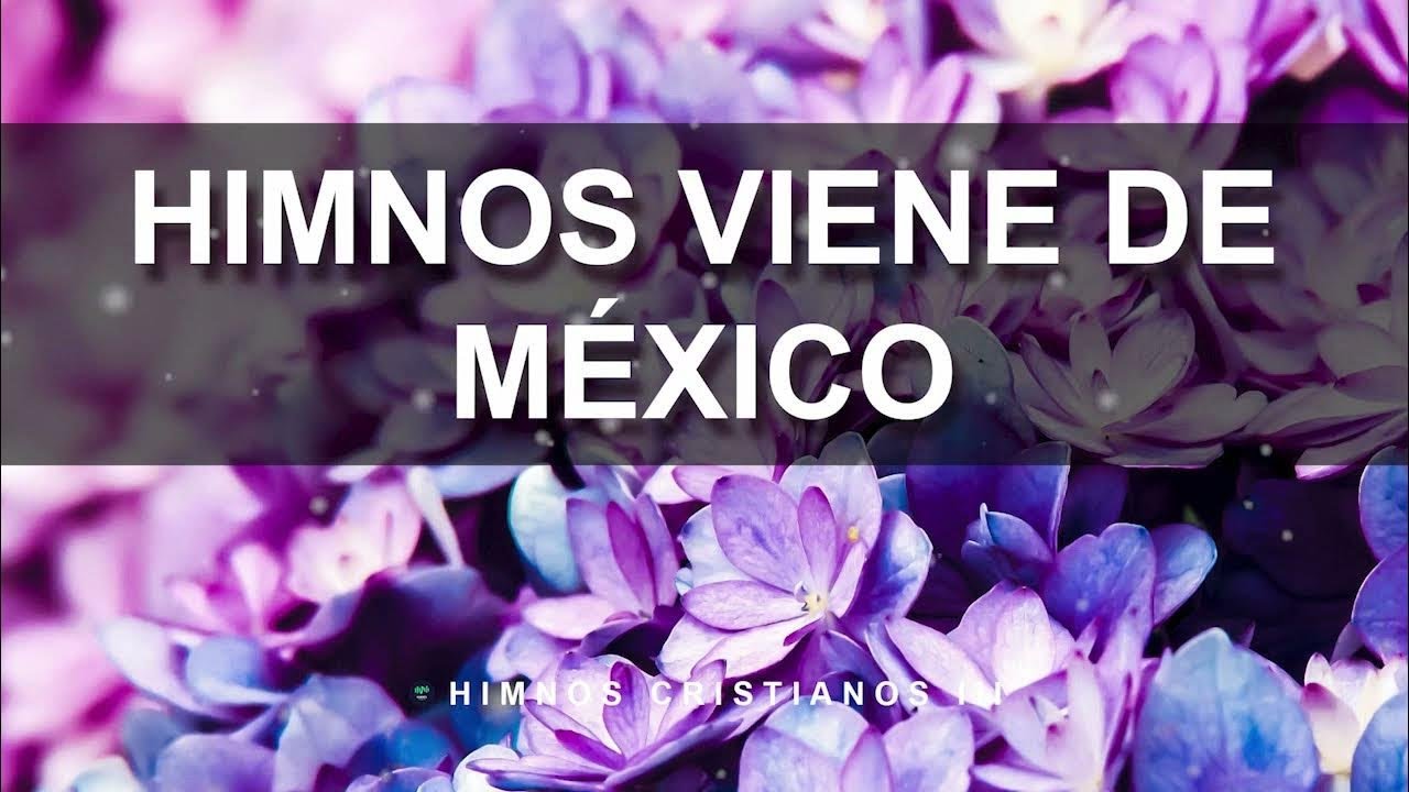 Cuando Se Acaban las Palabras | Himnos para Llorar, Orar y Sanar 🙌