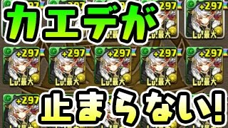 圧倒的金率！ストーリーフェスで神引き！？【パズドラ】