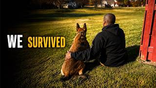 🚨MY K9 TOOK 2 BULLETS FOR ME - THIS IS OUR LIFE NOW🚨