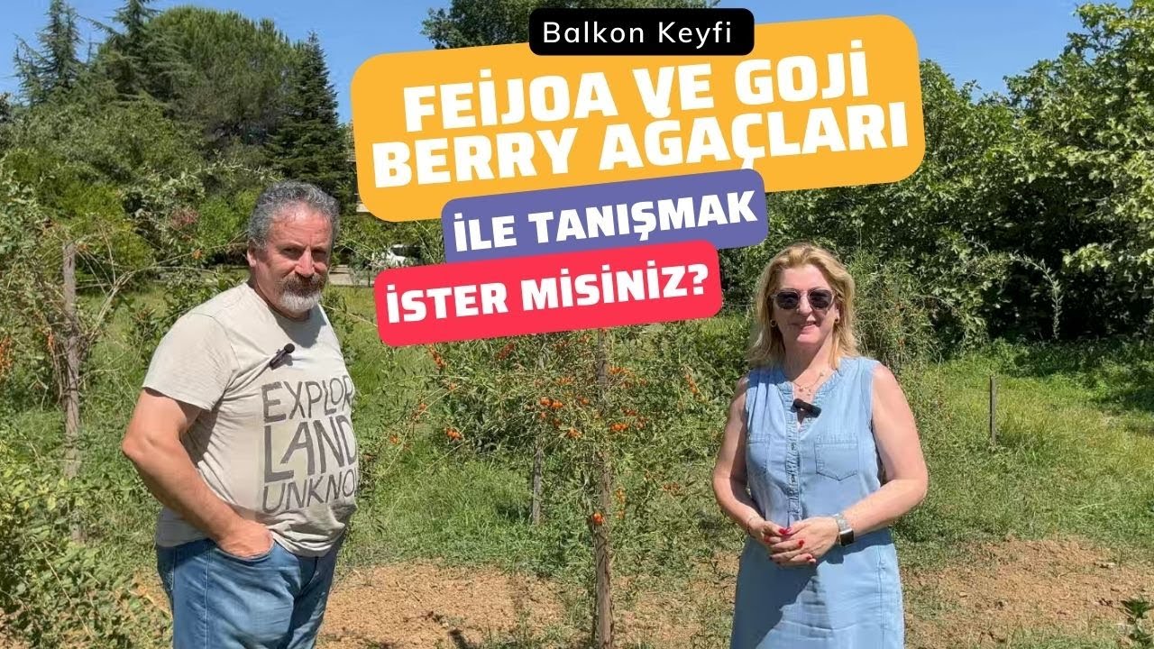 FEİJOA ve GOJİ BERRY AĞAÇLARI ile TANIŞMAK İSTER MİSİNİZ🌿