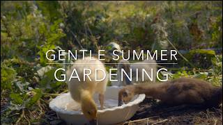 Garden ASMR and gentle music  - nearly 30 minutes of relaxation