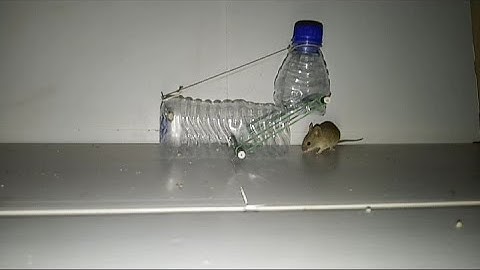 EASY BOTTLE MOUSE TRAP, RAT TRAP