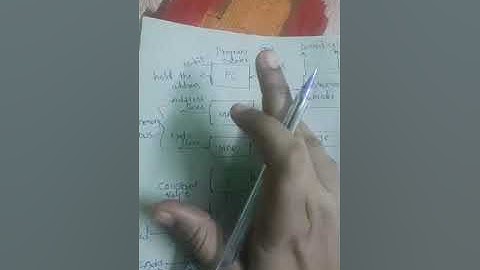 single bus organization