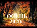 Три главных события Осени 2020г.! | Сентябрь, Октябрь, Ноябрь 2020г.! | Что по судьбе осенью! | ТАРО