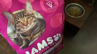 Honest Review Iams Cat Food Urinary Tract Health Proactive