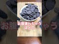 🎊1,500万感謝【きのこの山】チョコぬいじゃった！に世界1大きなチョコ着せちゃった！🍄 #shorts