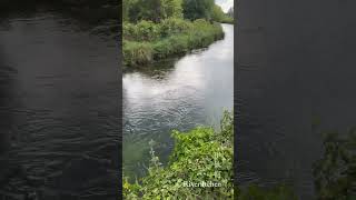 River Itchen