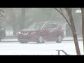 ¡Cae nieve en Florida! El video que impresiona a muchos