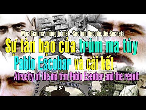 Video: Bạn sẽ không tin được bao nhiêu tổ chức ma túy của Pablo Escobar kiếm được mỗi tuần