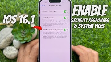 How to Enable Rapid Security Responses & System Files